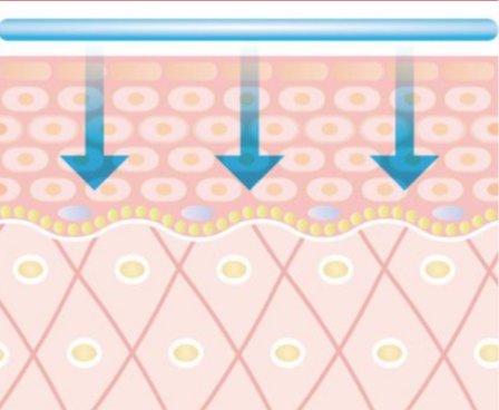 STEP2 トリートメントの浸透図